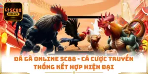 Đá Gà Online SC88 - Cá Cược Truyền Thống Kết Hợp Hiện Đại